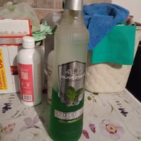 bottiglia vodka russa alla menta da collezione 