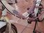 Immagine 6