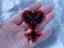 Immagine 5