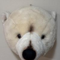 Testa Orso in peluche