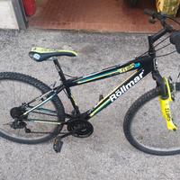 Mountain Bike da ragazzo Ruote 26