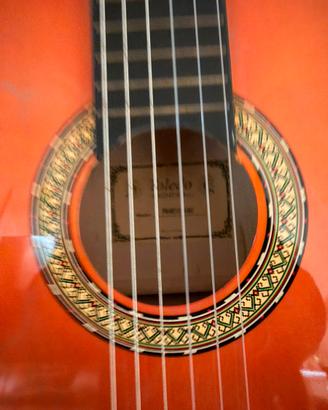 Chitarra Toledo Primera 44 con custodia