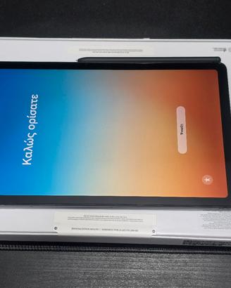 Samsung galaxy tab s6 lite (2024 edition)