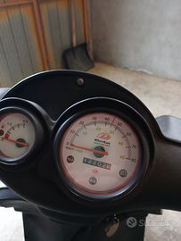 Scooter beta ark 50