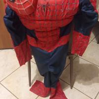 Costume Uomo Ragno