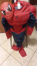 Costume Uomo Ragno