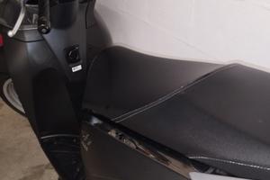SH 300