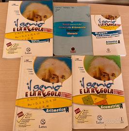 Il genio e la regola 1 libri matematica
