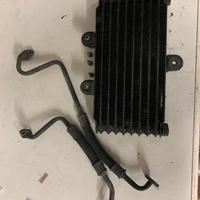 Radiatore olio suzuki freewind xf650