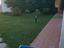 Immagine 12