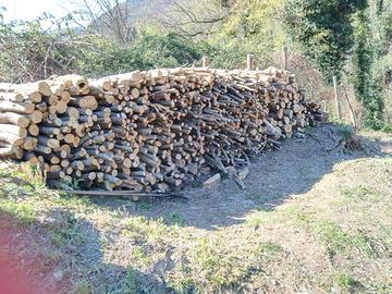 Legna Già Tagliata 