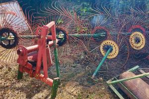 Ranghinatore a 6 stelle