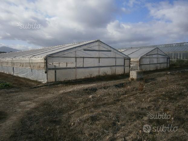 Terreno agricolo piantumato con serre 4000 mq