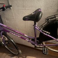 bicicletta casadei