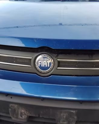 Griglia anteriore FIAT PANDA del 2005