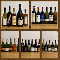 Vini vari francesi e italiani in bottiglia