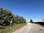 Immagine 26