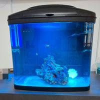 acquario marino 48 litri