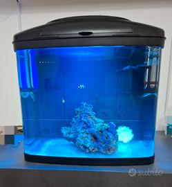 acquario marino 48 litri