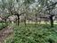 Immagine 26