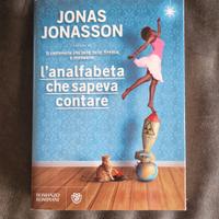 Libro "L'analfabeta che sapeva contare" 