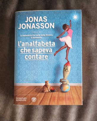 Libro "L'analfabeta che sapeva contare" 