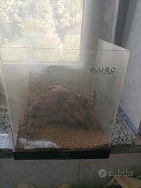 piccolo acquario 