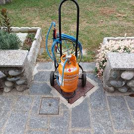 BRUCIATORE ERBACCE