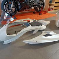 carene vetroresina R6 