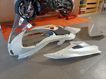 carene vetroresina R6 