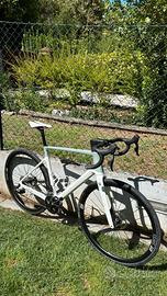 FOCUS paralane 8.8 taglia L 56