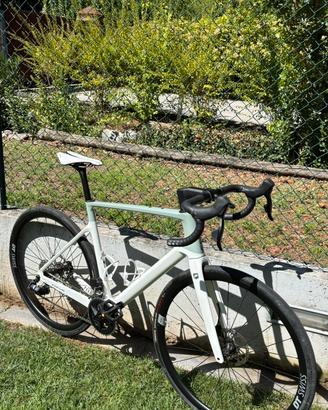 FOCUS paralane 8.8 taglia L 56
