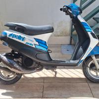 zip piaggio motorizzato skipper 125 cc