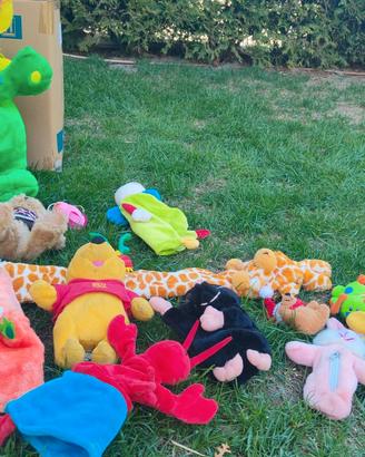 set peluche