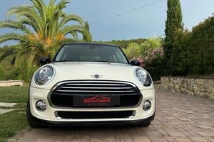Mini 1.5 One D