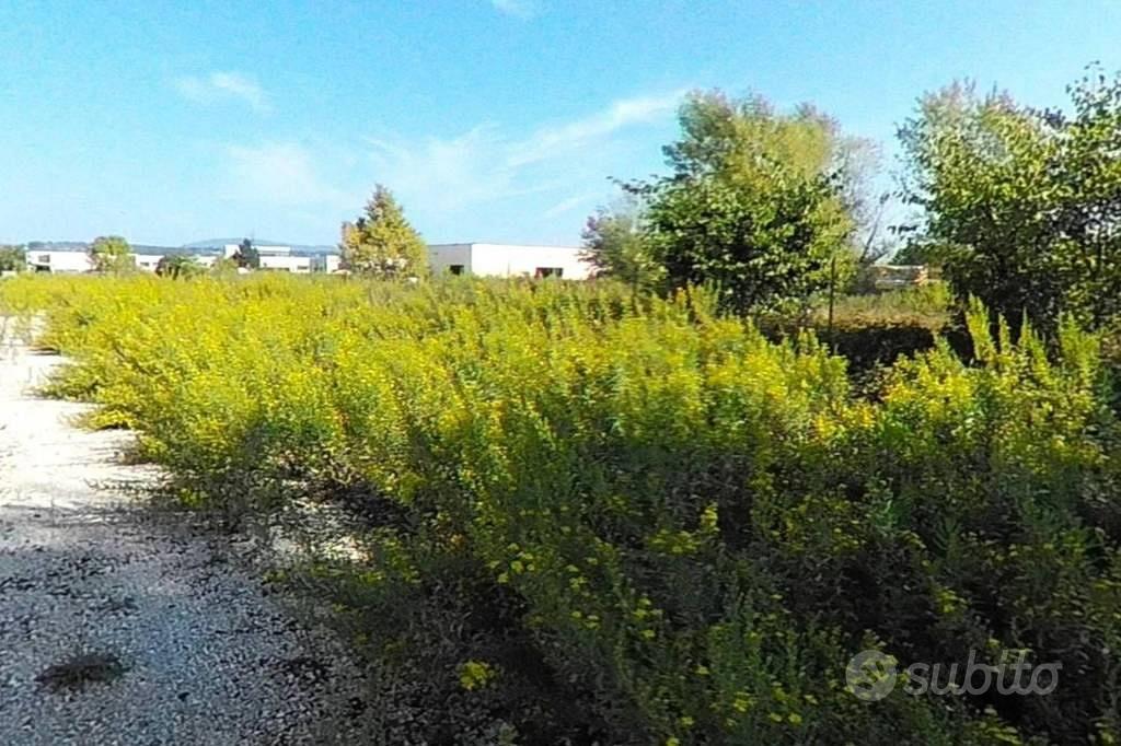 Immobile in asta di 5280 m² a Recanati - Vista 5