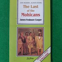 THE LAST OF THE MOHICANS ACTIVITY BOOKS