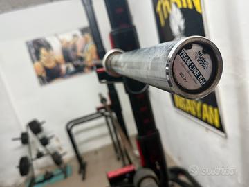 Bilancieri 220 cm professionali