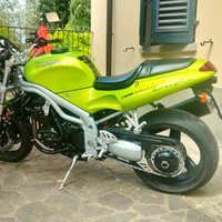 Triumph Speed triple t509