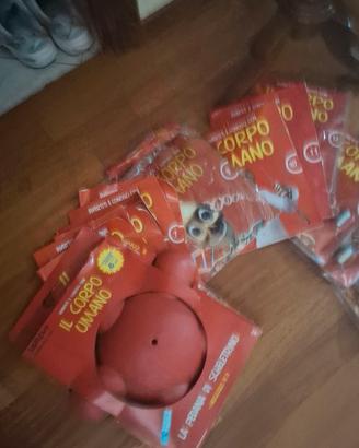 set corpo umano