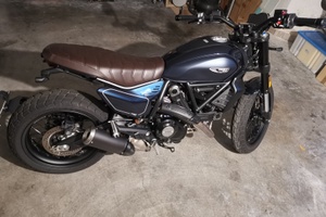 Ducati scrambler 800