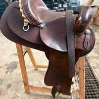 Sella americana cavallo