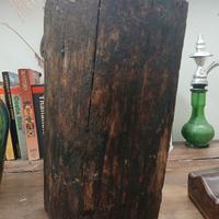 Tronco in legno massiccio