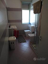 Zona cittadella universitaria