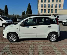 FIAT New Panda 1.2 S.&S. E6D-TEMP EASY 5 POSTI