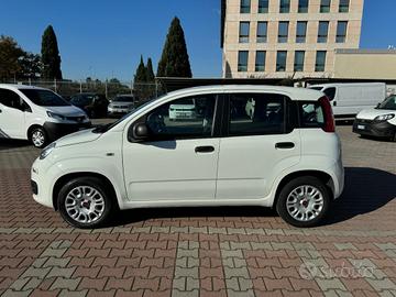 FIAT New Panda 1.2 S.&S. E6D-TEMP EASY 5 POSTI