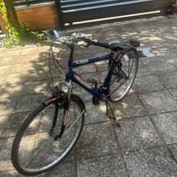 Bici da uomo