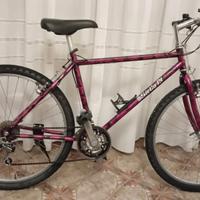 Mountain bike