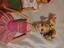 Immagine 6