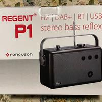 Radio FM DAB+, Bluetooth, USB Regent P1 Ferguson